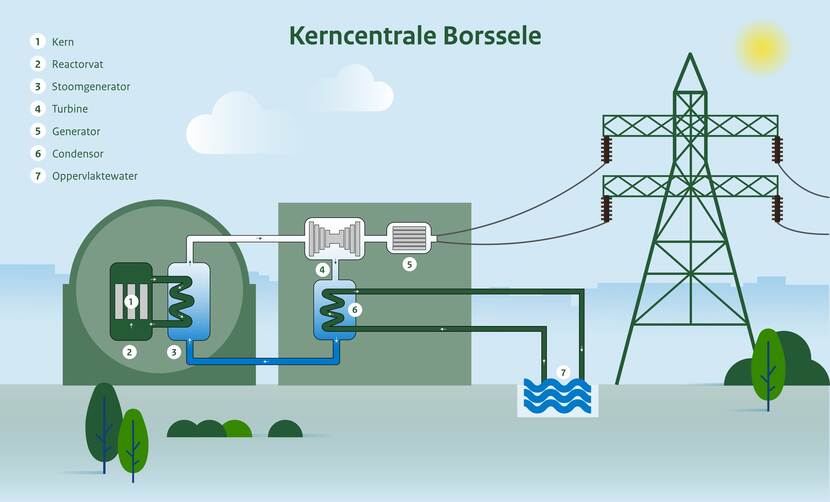 Hoe werkt de kerncentrale in Borssele?